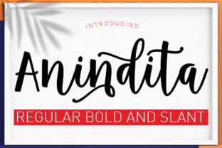 Anindita: A Playful Script Font for Editorial Charm