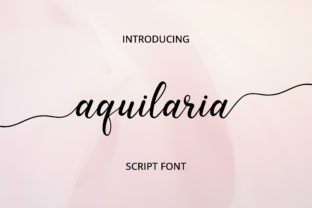 Aquilaria Script Font for Elegant Branding