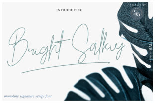 Bright Salkiy Typeface Review for Elegant Branding