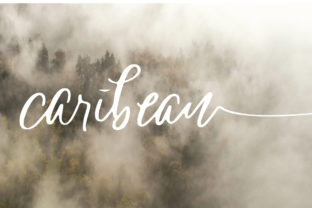 Caribean Typeface for Authentic Branding