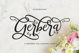 Gerbera Font: Elevate Your Brand Identity