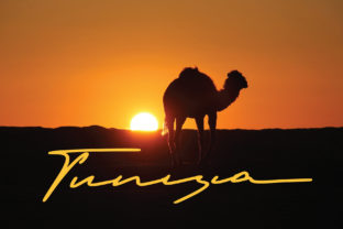 Tunisia Script Font for Elegant Branding